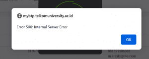 MyBTP Error 500